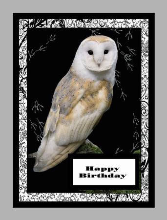 The Barn Owl by Julie McGregor