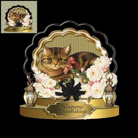 Moggy Birthday Shaped Card Plus Gift Card by Julie McGregor