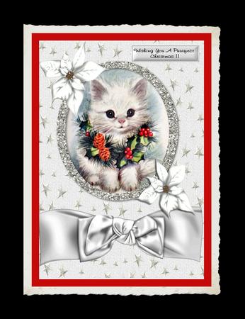 Little Kitten with Holly Wreath and Poinsettias by Julie McGregor