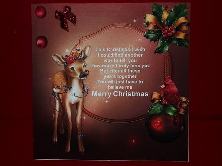 Fawns Christmas Message by Julie McGregor