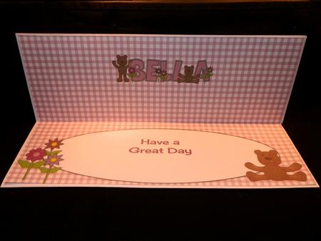 Teddies Bella Large Dl Insert by Julie McGregor