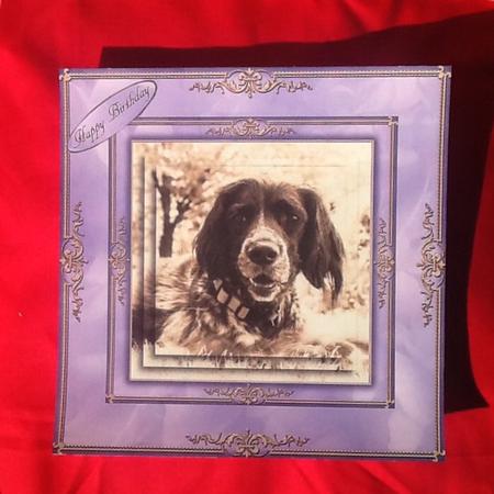 Dog Portrait Pyramid Topper by Julie McGregor