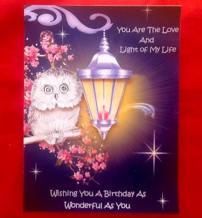 Light of My Life by Julie McGregor
