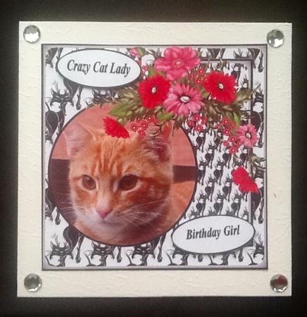 Felines by Julie McGregor