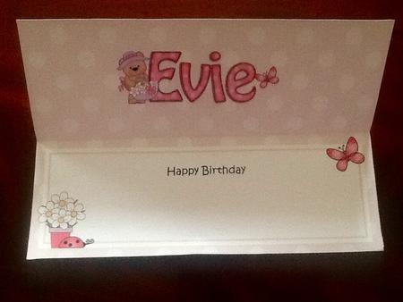 Large Dl Birthday Evie Livvy Bear Insert by Julie McGregor
