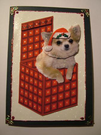 Chihuahua Christmas Box by Julie McGregor