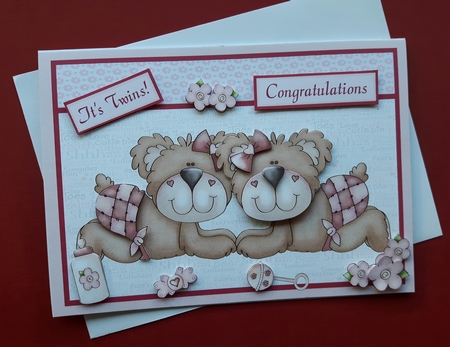 New Baby twins card with teddy bears, bottle, flowers, rattle, bow & soother by Julie Hassall