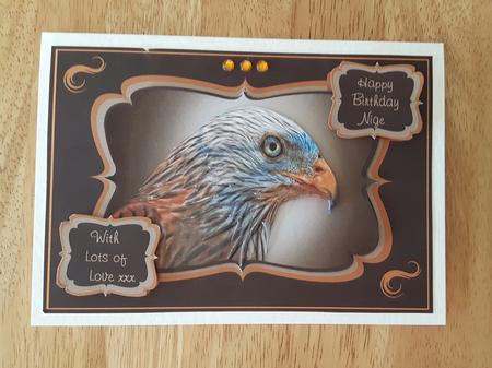 Red Kite Birthday Card for Dad, Son, Brother or Husband by Julie Hassall
