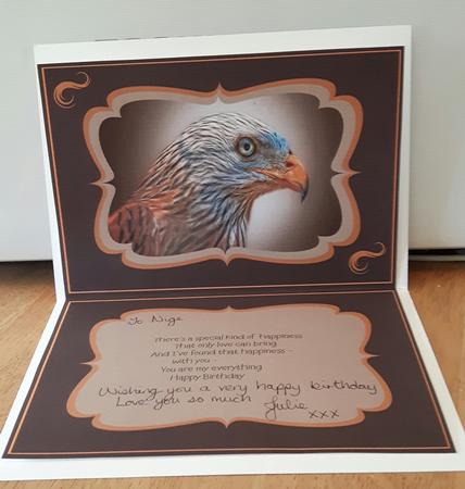 Red Kite Card Insert A5 by Julie Hassall