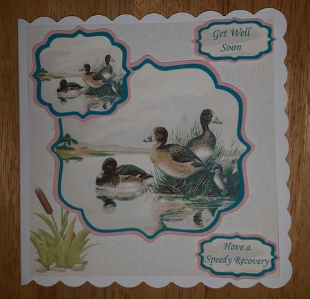 Get Well Soon Card with Mallard Pond Scene by Julie Hassall