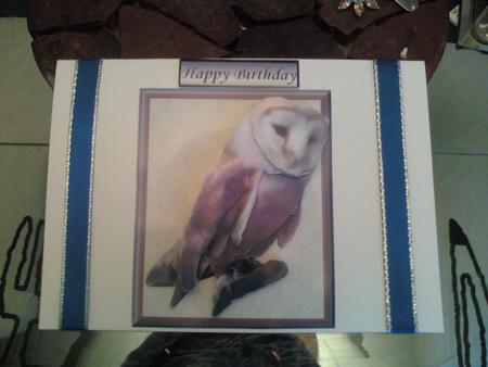 Barn Owl 3D Decoupage by June McKnight