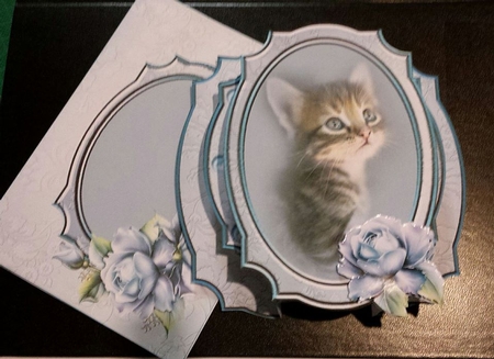 Porcelain Kitten Popout Card Kit by Kareen Gangell