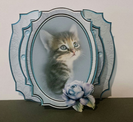 Porcelain Kitten Popout Card Kit by Kareen Gangell