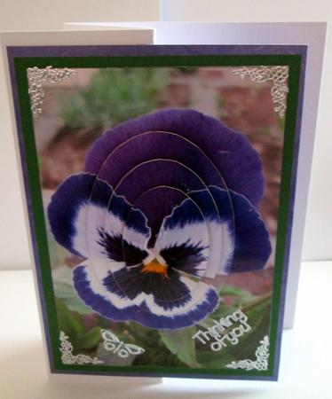 Blue Pansy Oval Pyramage by Karen Blanch
