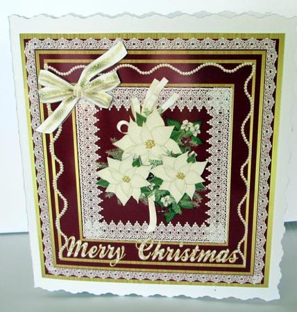 Lovely Cranberry and White Poinsettias by Karen Blanch