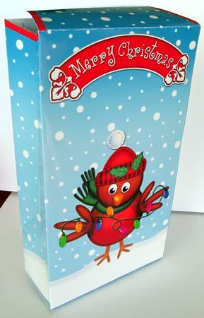 3D Xmas Robin's Christmas Lights Gift Box Mini Kit by Karen Blanch