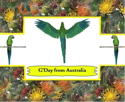 8 Australian Floral Backgrounds by Karen Bowes