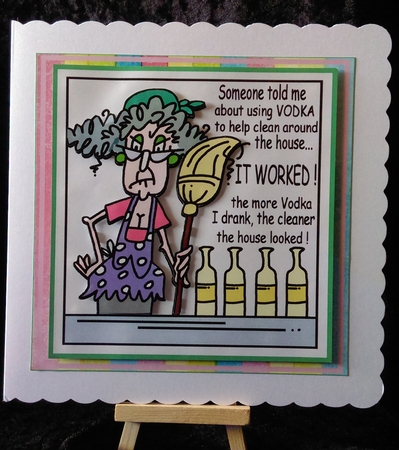 Vodka Helps Clean The House by Karen Bowes
