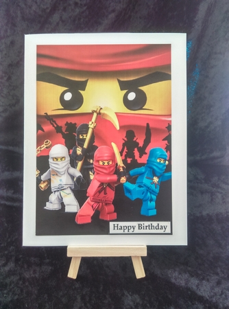 Ninjago 1A5 Quick Card by Karen Bowes