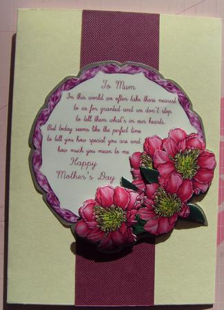 Mother's Day Camellias by Karen Cheetham