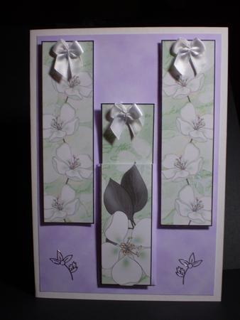 Bumper Value Pack of Apple Blossom Bookmarks by Karen Cogan