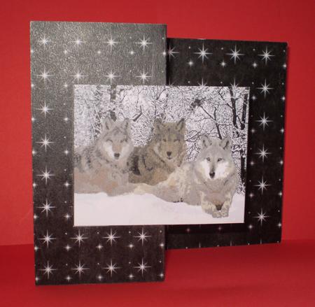 Band of Brothers No Hole Fold Back Card by Karen Cogan