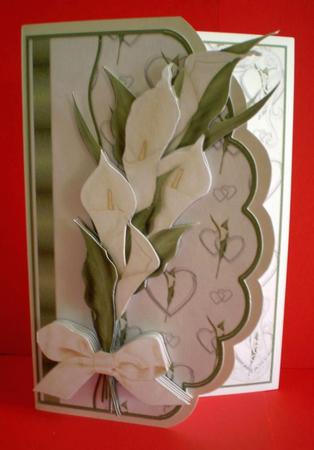 White Calla by Karen Cogan