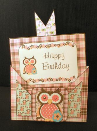 Criss Cross Pocket Owl Birthday by Karen Cogan
