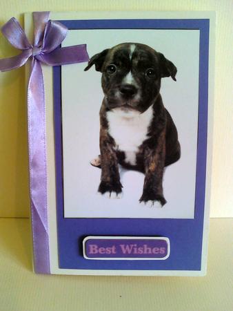 Staffordshire Bull Terrier Puppy Toppers by Karen Davies