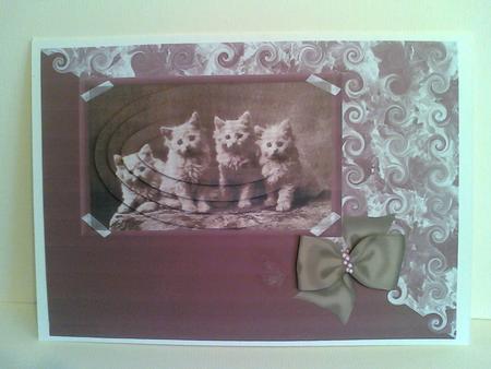 Cats on a Rug by Karen Davies