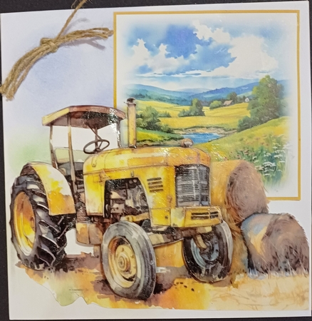 Down on the Farm No.3 by Karen Ethelston
