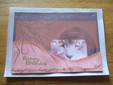Lechat 10, Peek! 5x7 Layered Card by Karen Faulds