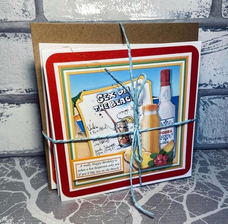 COCKTAIL DRINKS 7.5 Humorous Decoupage & Insert Bumper Kit by Karen Price