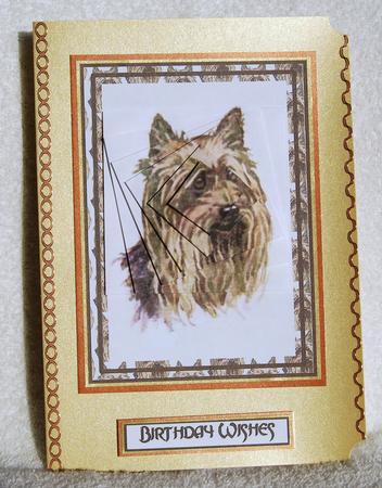 Yorkshire Terrier Spiral Pyramid by Karen Smith