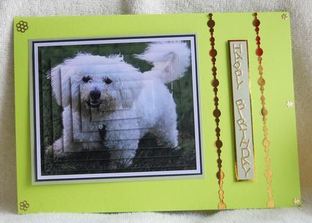 Happie Chappie by Karen Smith