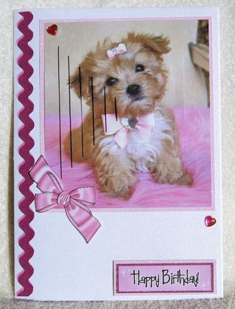 Cute Little Terrier Puppy, Pyramids by Karen Smith