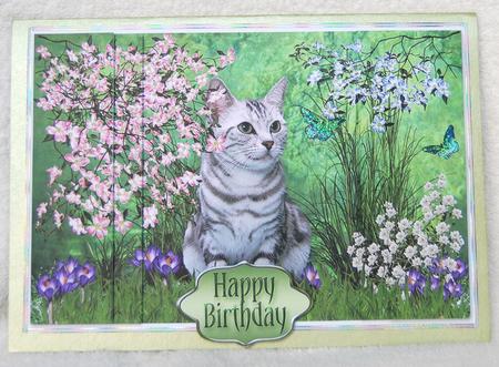 Tabby Cat in the Flowers - Side Stacker Card by Karen Smith