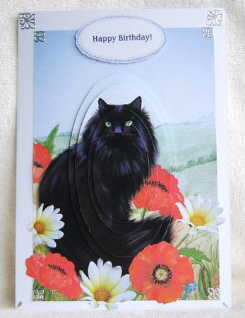 Black Cat Poppies & Daisies A5 Oval Pyramid Card Front by Karen Smith