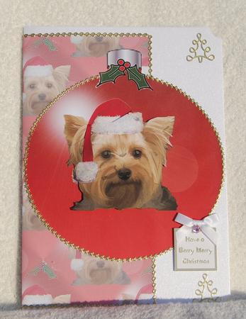 Yorkshire Terrier Red Christmas Bauble by Karen Smith
