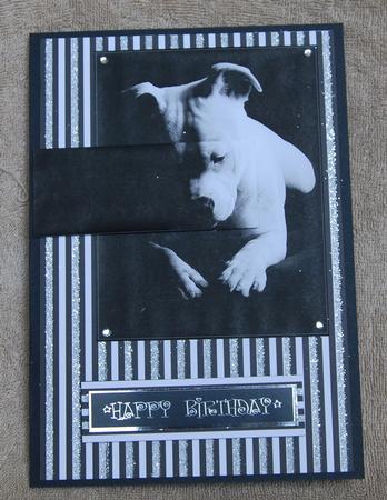Black & White Staffordshire Bull Terrier Topper by Karen Smith