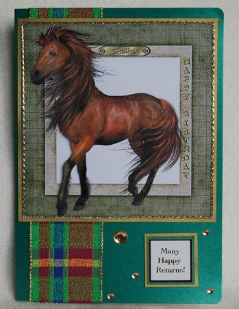 The Stallion - Male Birthday by Karen Smith
