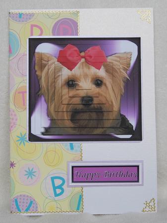 Yorkshire Terrier Portrait Pyramid by Karen Smith