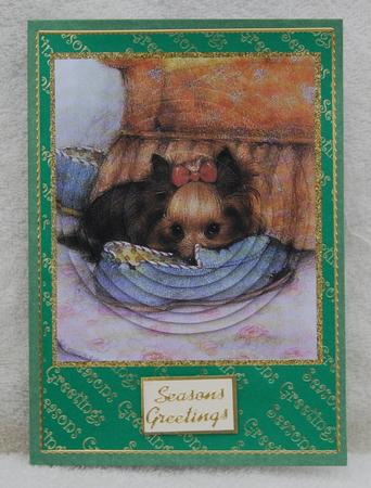 My Slipper by Karen Smith