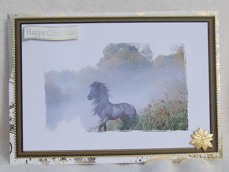 Horse in the Mist by Karen Smith