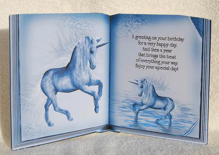 A4 Unicorn Book 2 by Karen Smith