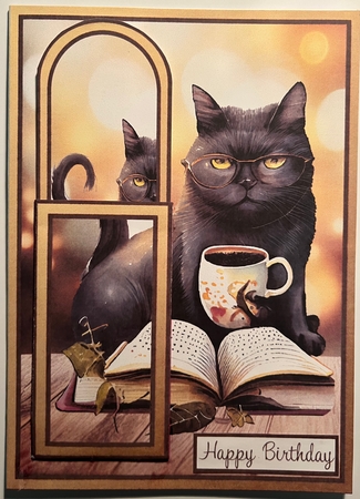 Birthday Book Loving Cat Bookmark Card by Karen Taylor