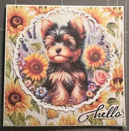Many Flowers Pups 7 by Karen Taylor
