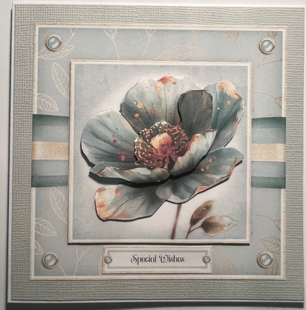 A Simple Flower No.1 by Karen Taylor