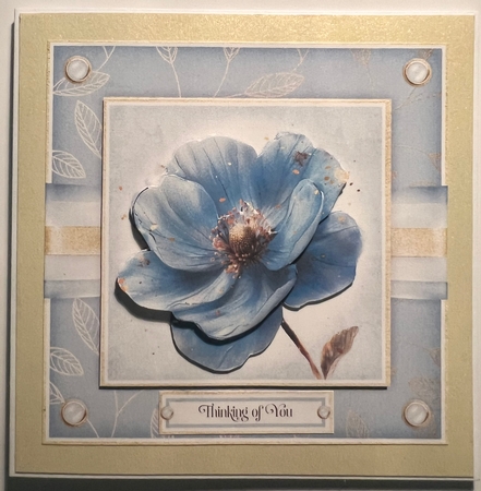 A Simple Flower No.4 by Karen Taylor