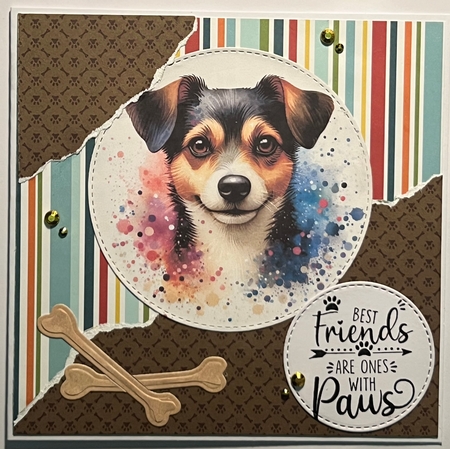 Paint Spash Dog Portraits 1 by Karen Taylor
